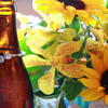 Wedding_20110430