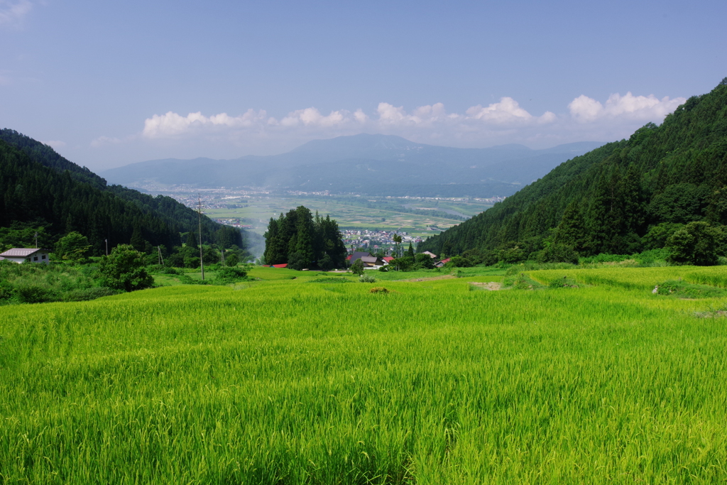 飯山の夏6