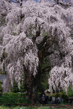 安曇野に佇む６