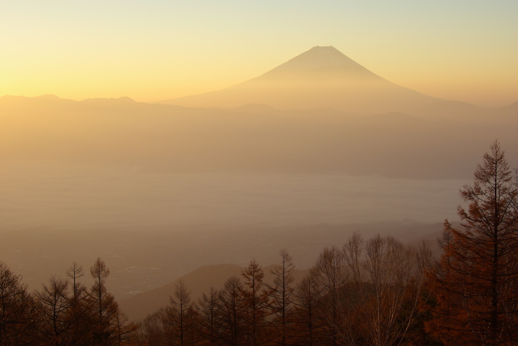 晩秋の朝