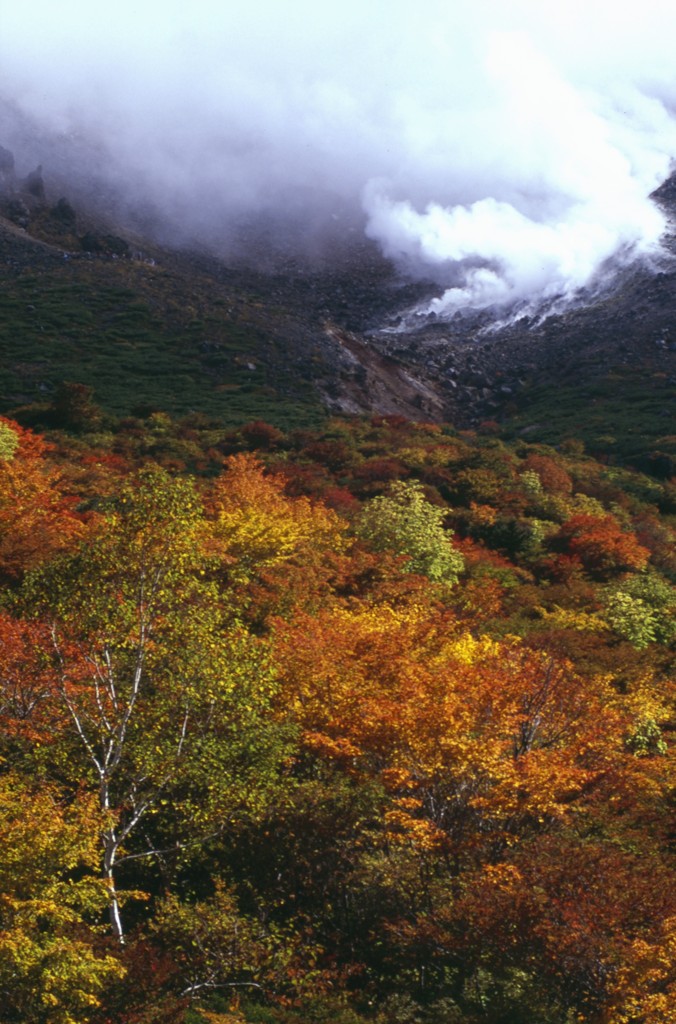 噴煙立ち昇る姥ヶ錦