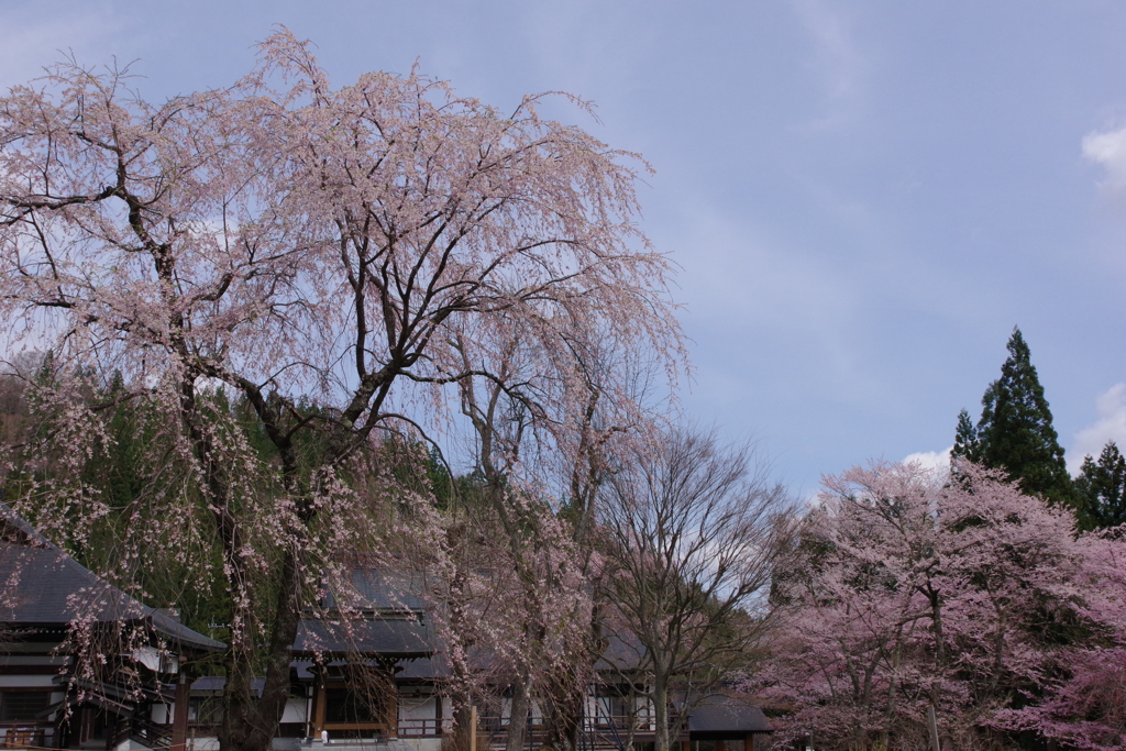 貞麟寺