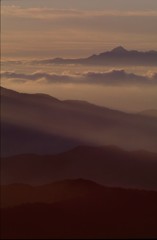 朝光グラデーション