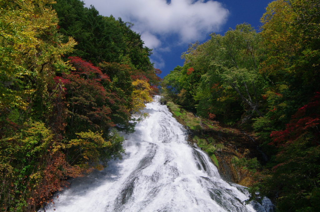 2014秋　湯滝