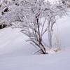 水ヶ塚雪景色1