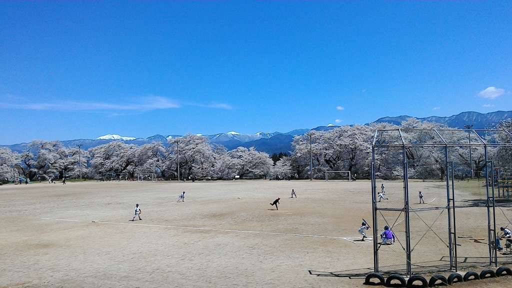 下伊那桜めぐり番外編