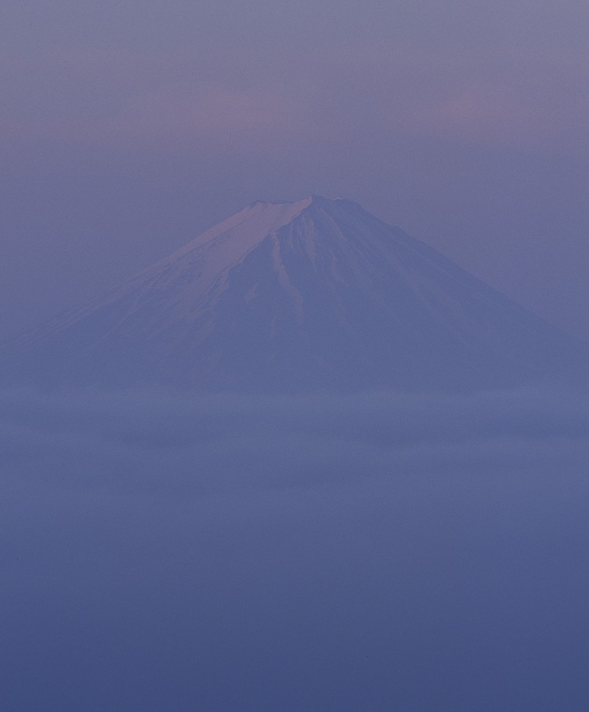 淡麗