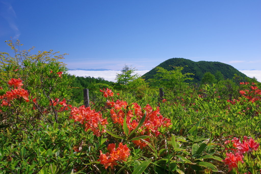 湯の丸高原6