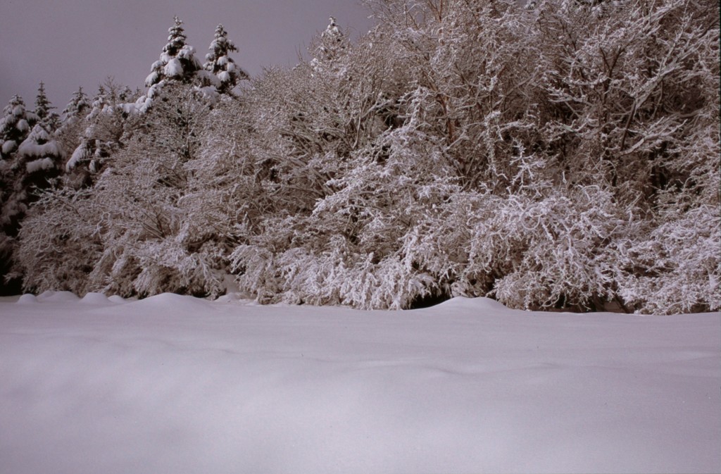 水ヶ塚雪景色3