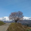 春到来　番外編2