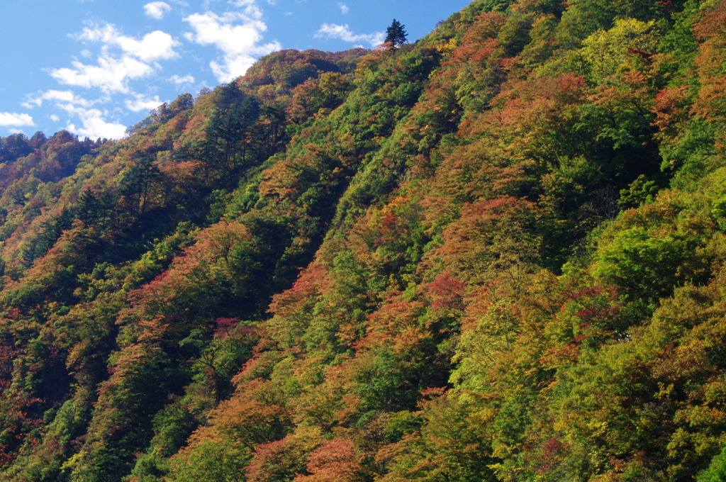 清津峡入り口より２