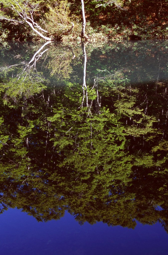 MIZUKAGAMI 1