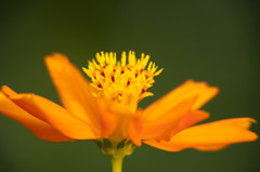 _DSC0061