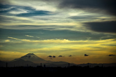 _DSC0370
