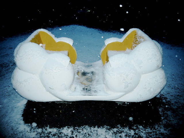 雪に浮かぶ