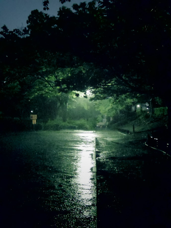 雨の公園で