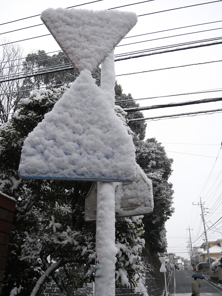 着雪