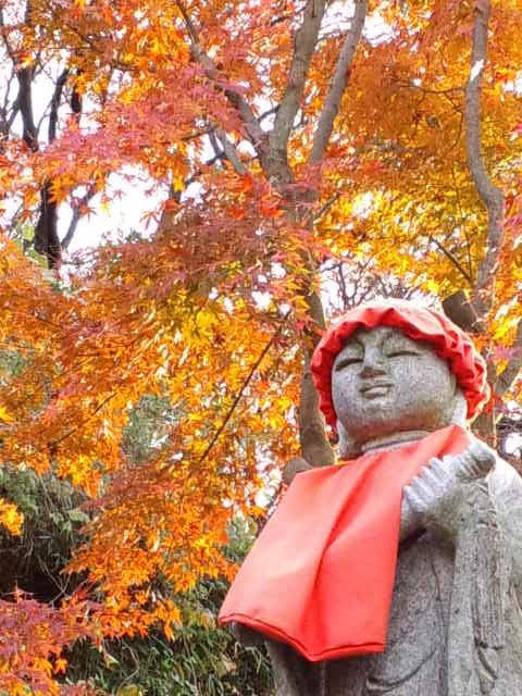 お地蔵様と楓
