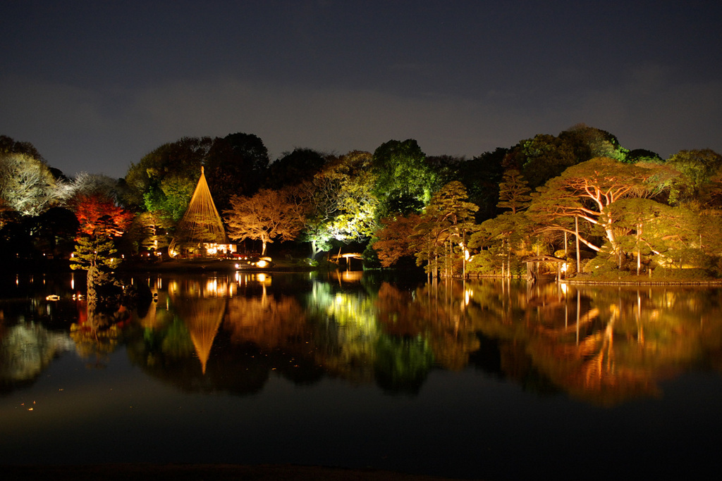 六義園2008秋