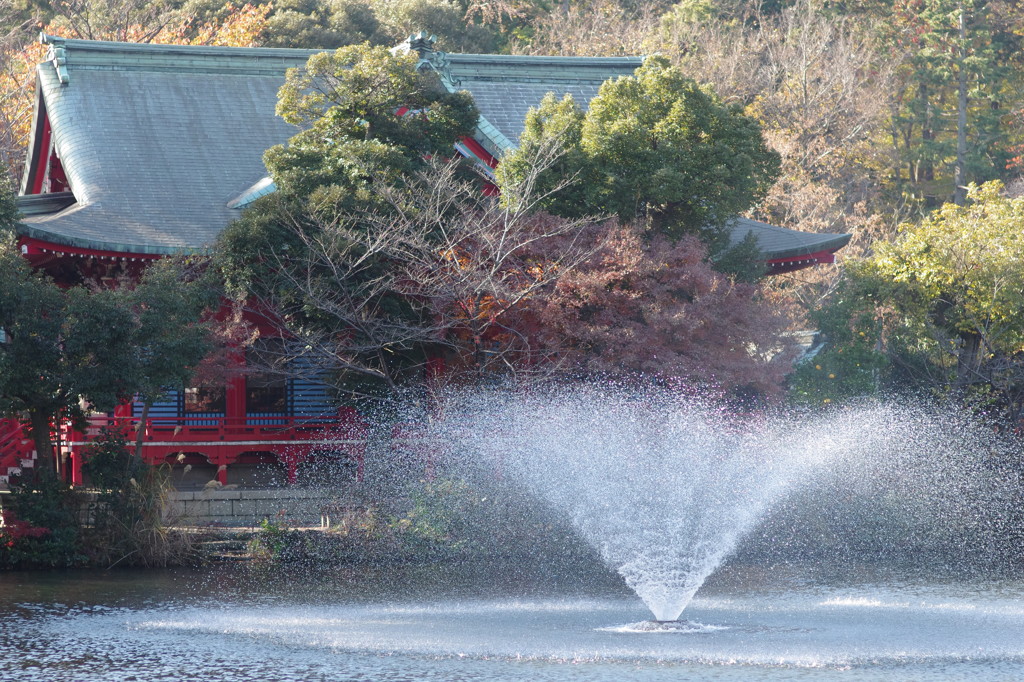 井の頭公園の弁天様と噴水