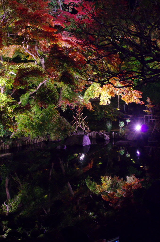 長谷寺＠鎌倉２０１５秋 その１