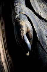 華厳寺満願堂　十一面観音