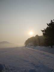 冬の朝日