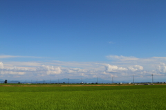 田園