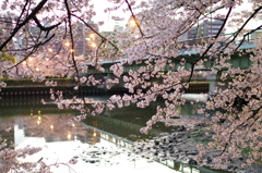 水都8_FA35_K-7