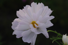 K7__9196