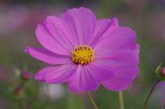 K7__9160