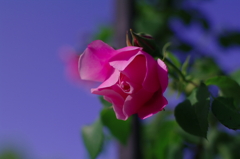 K7__6535