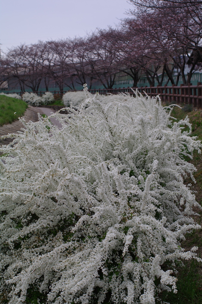 K7__5071_1