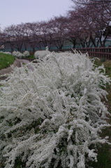 K7__5071_1