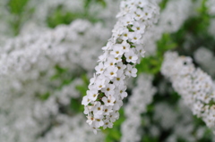 K7__5038