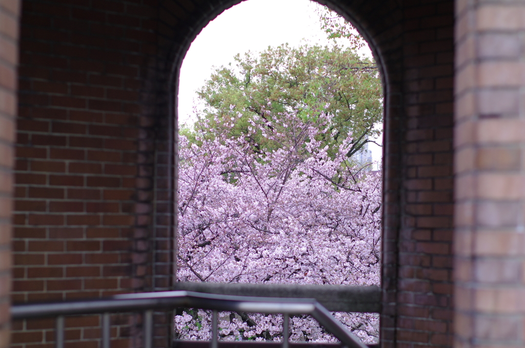 水都6_FA50f14_K-7