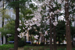 K7__5048