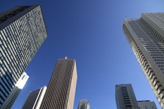 IMG_0089