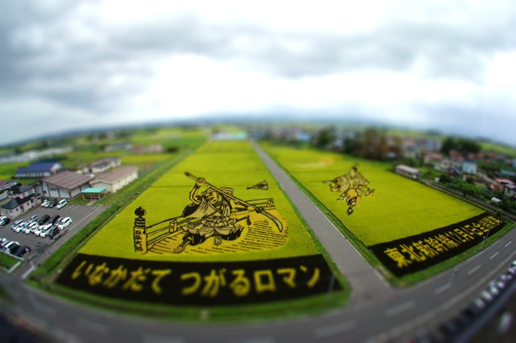 田んぼアート 2010