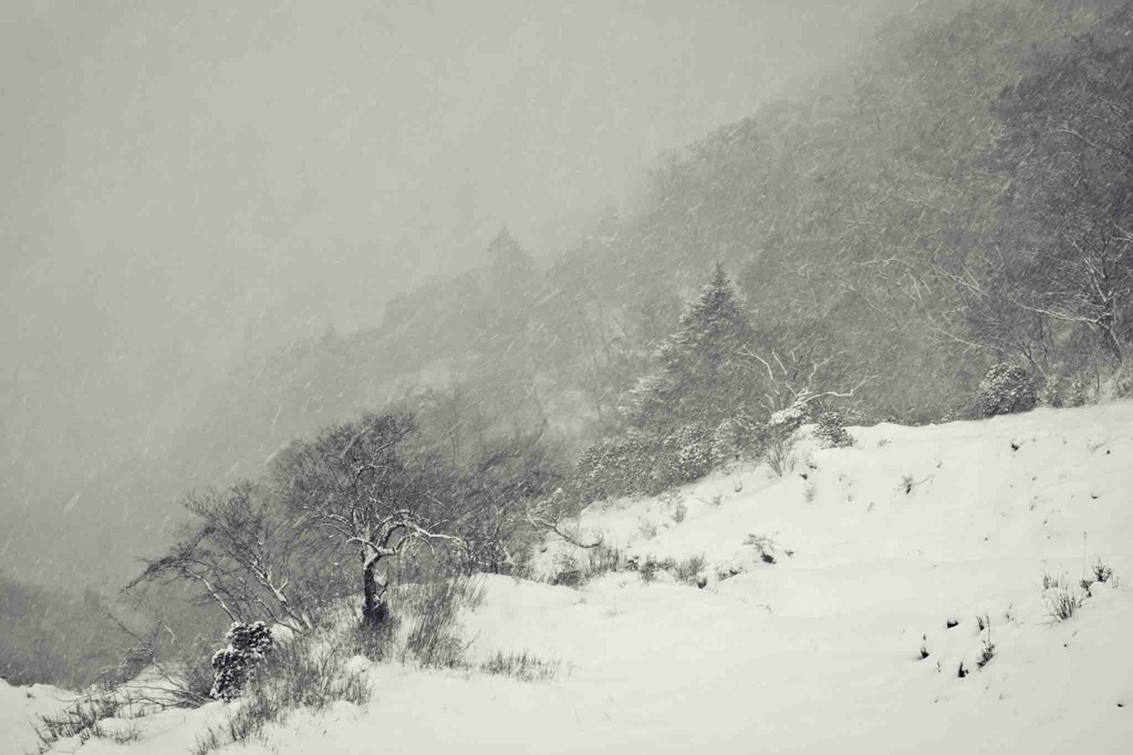 雪