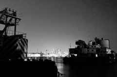 SDIM0539