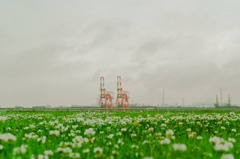SDIM0582