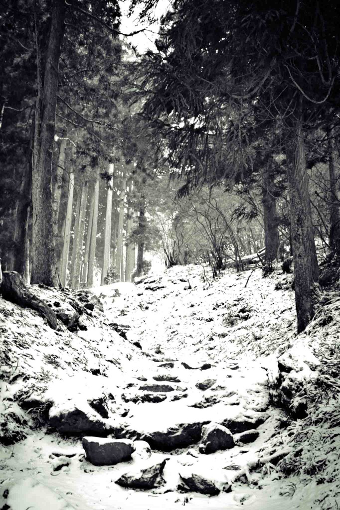 雪道