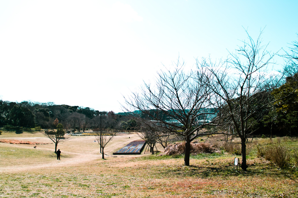 公園