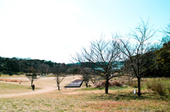 公園