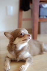 ん？いいにおい？