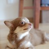 ん？いいにおい？