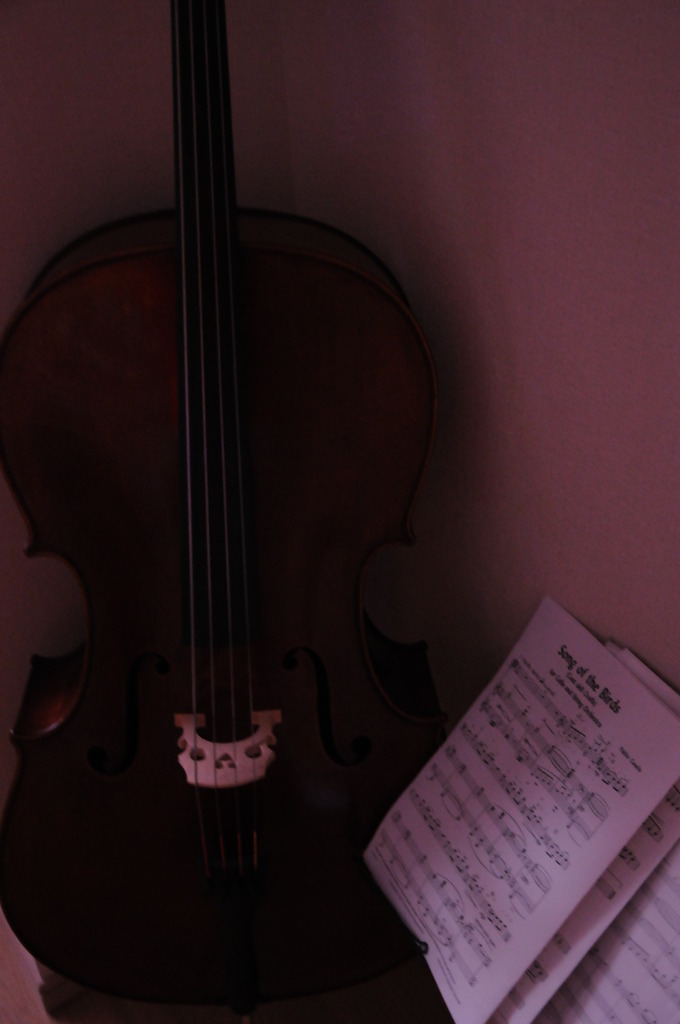 cello