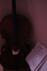 cello