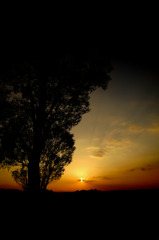 rest 2